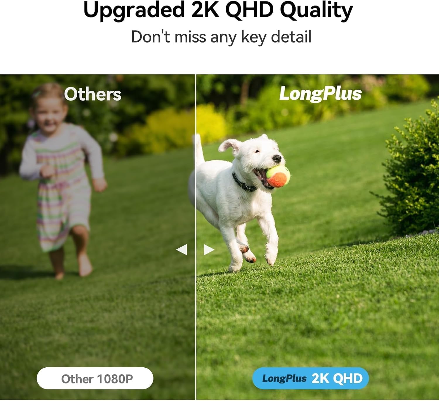 AI detection analysis app screen